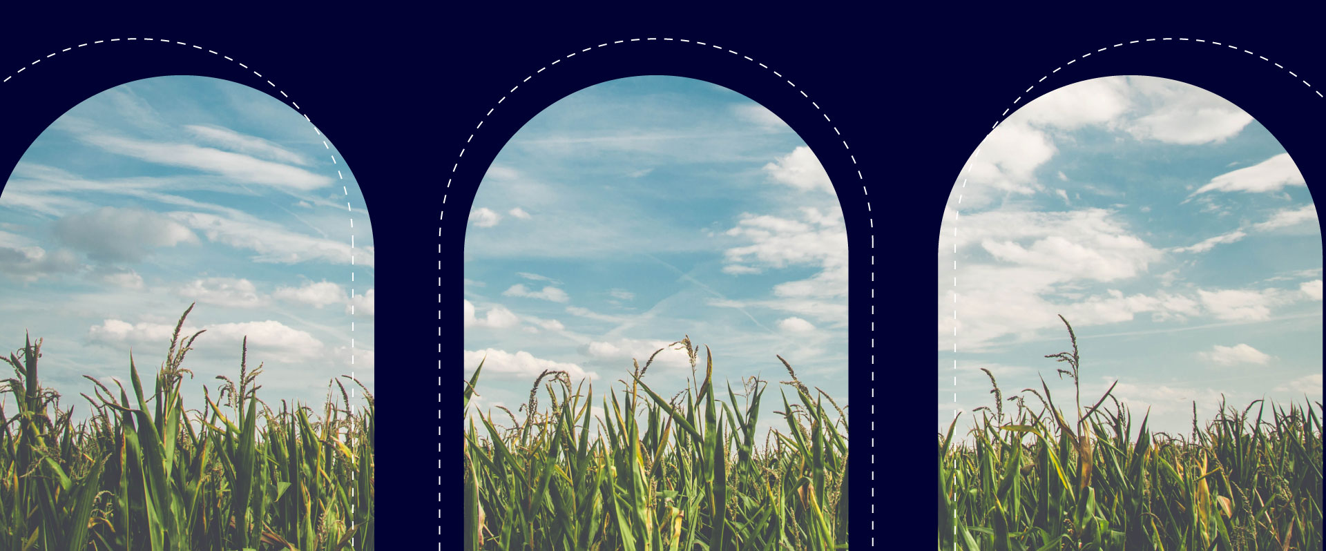 whistleblowing-landing-mobile